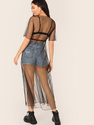Dressed and Ready Mesh Dress